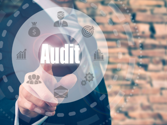 Why does your company need an Audit?